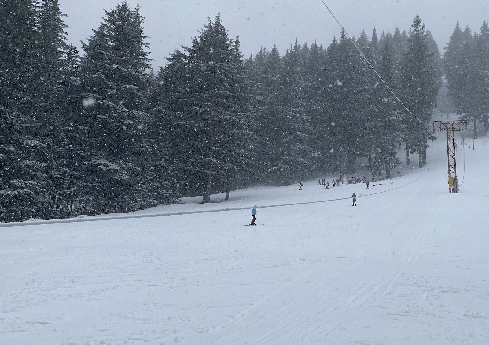 Kirkland Park ski run